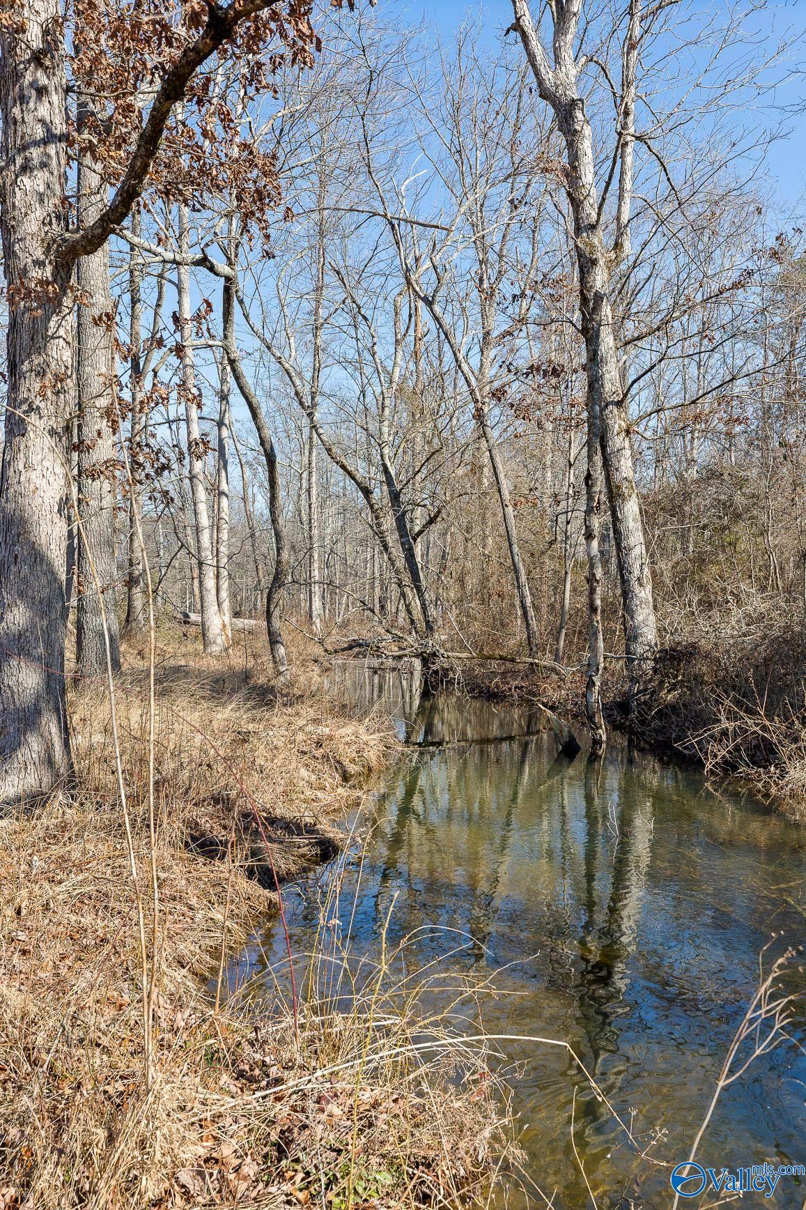 Tract B County Road 784, Ider, Alabama image 28