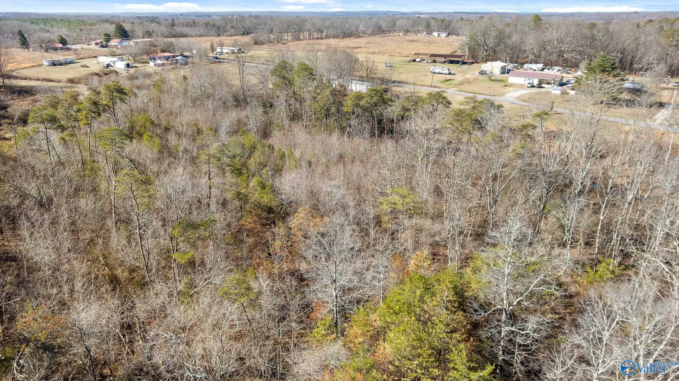 Tract B County Road 784, Ider, Alabama image 7