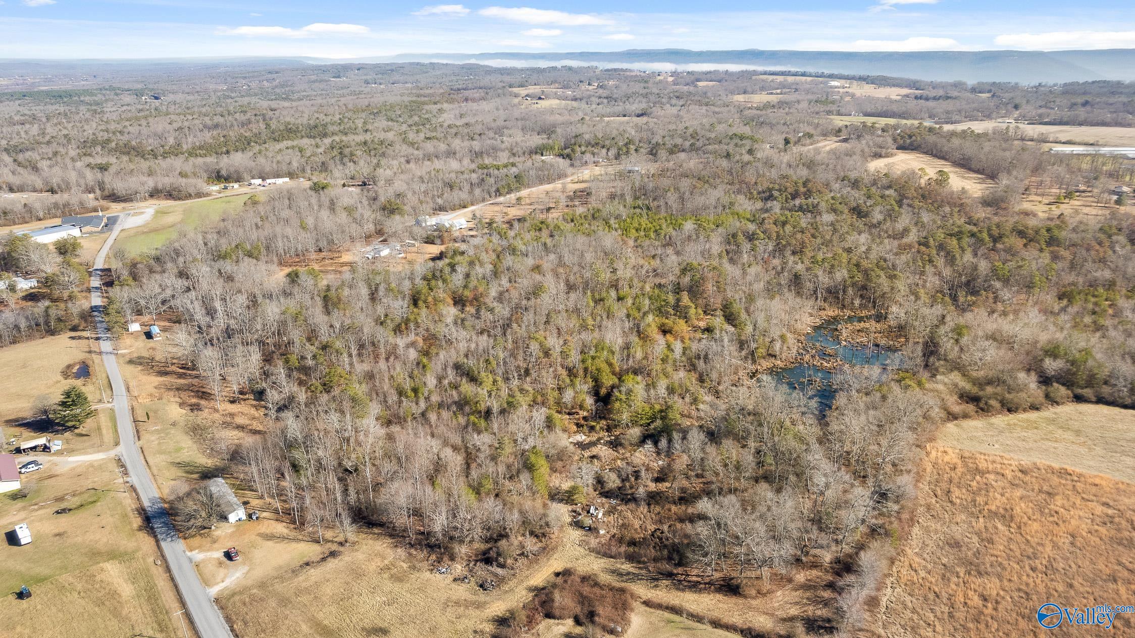 Tract B County Road 784, Ider, Alabama image 19