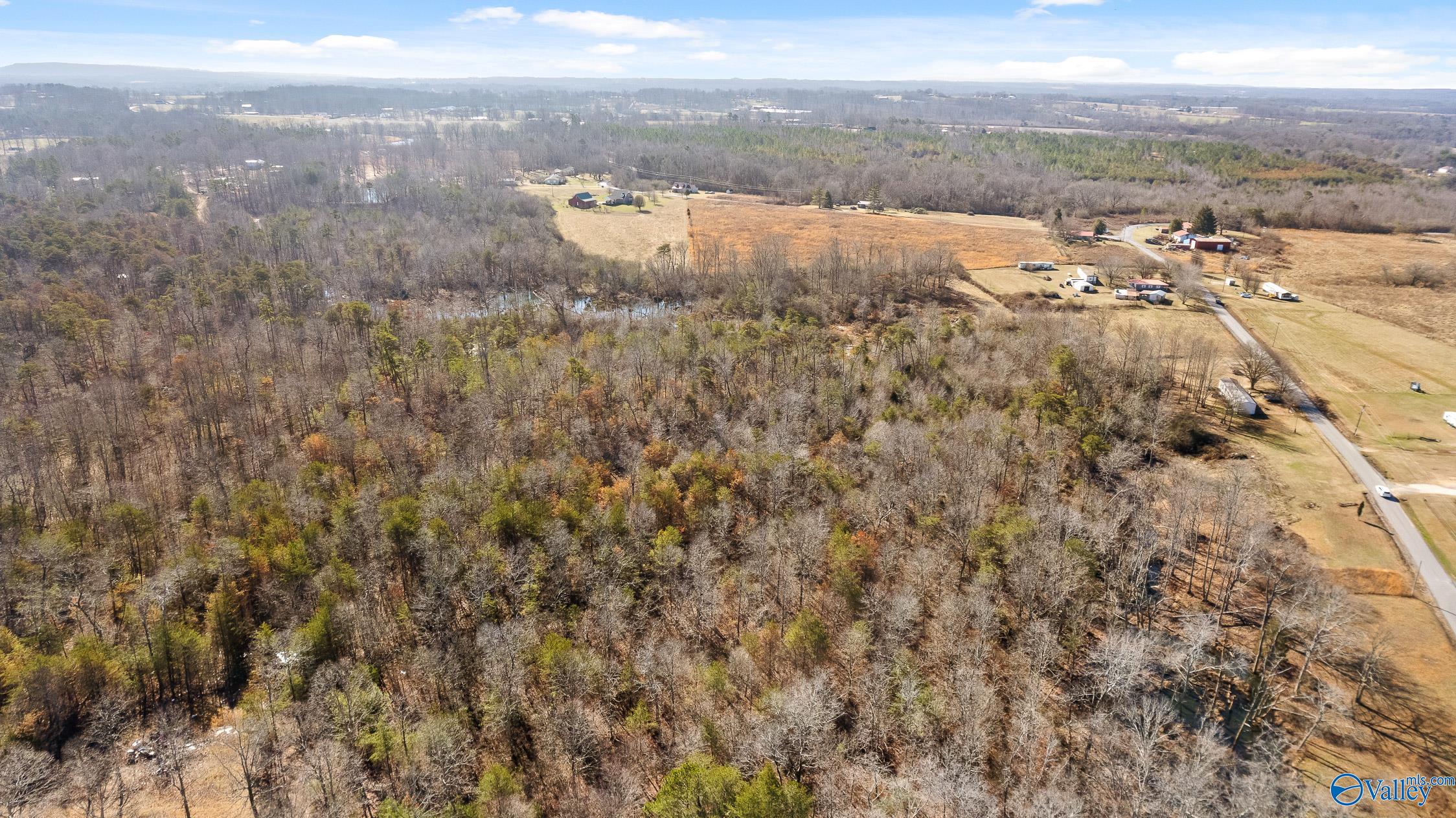 Tract B County Road 784, Ider, Alabama image 14