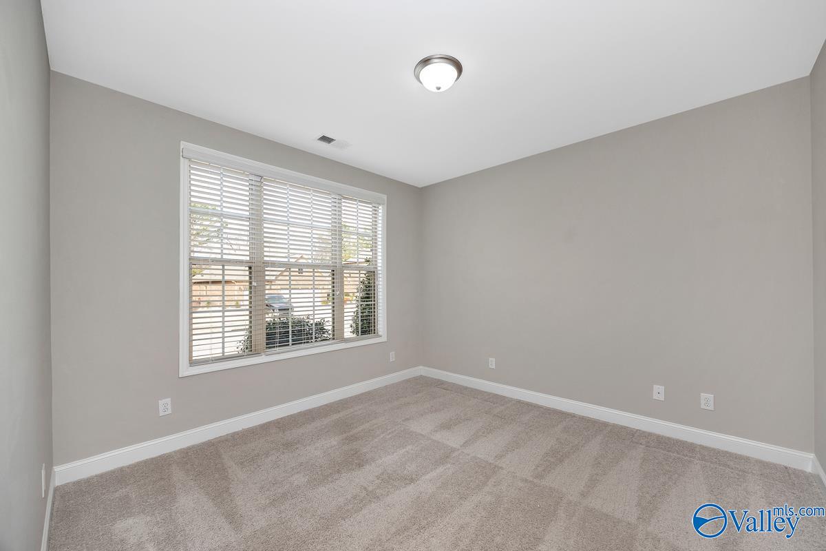 256 Dustin Lane, Madison, Alabama image 28