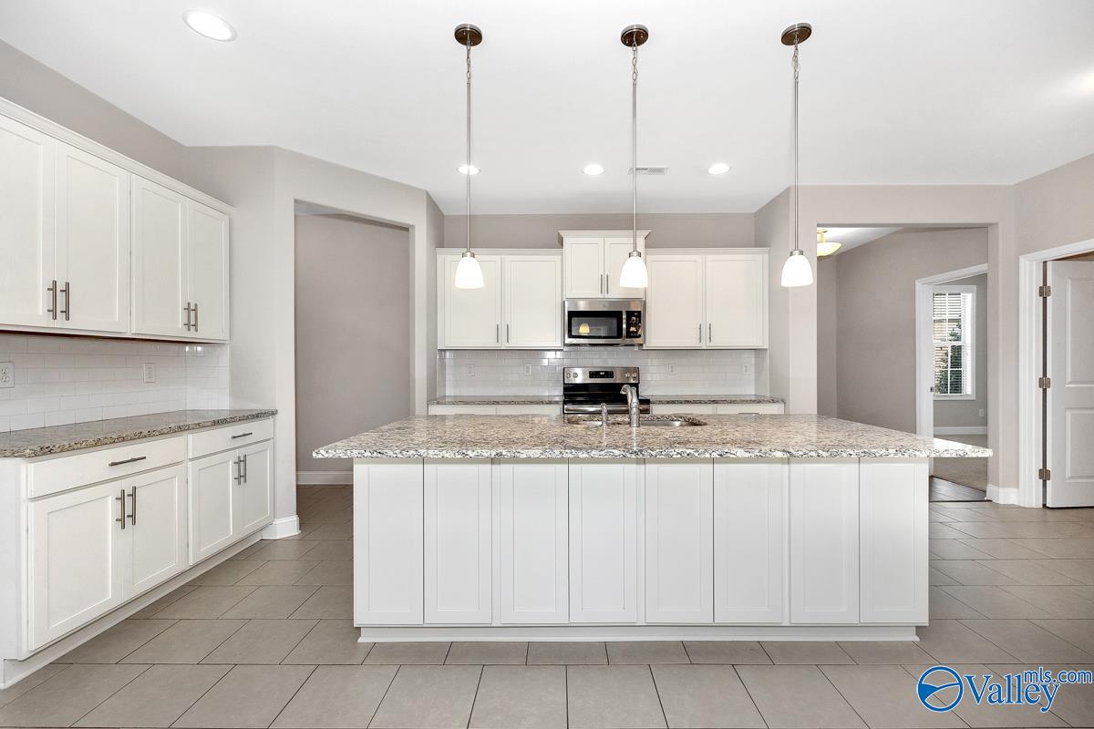 256 Dustin Lane, Madison, Alabama image 15