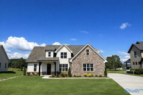 Homes For Sale - 306 Lake Creek Drive<br/> Guntersville, AL 35976