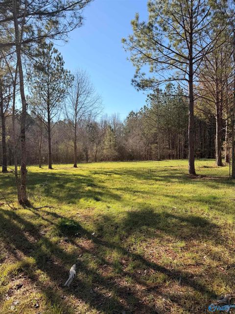 Vacant Land For Sale - LOT 62A County Road 32<br/> Cherokee County, Piedmont, AL 36272