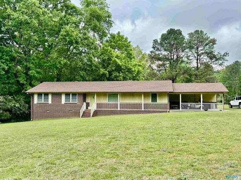 Homes For Sale - 45944 Alabama Highway 75<br/> Crossville, AL 35962