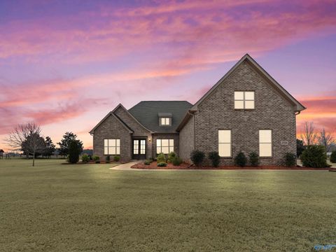 Photo of 27126 Leeta Lane, Athens, AL 35613 (MLS # 21909453)