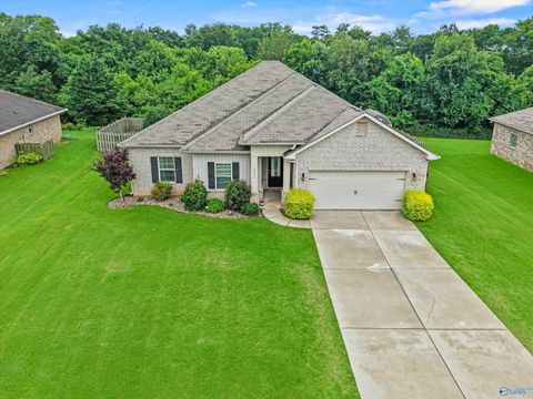 Homes For Sale - 14351 Water Stream Drive<br/> Harvest, AL 35749