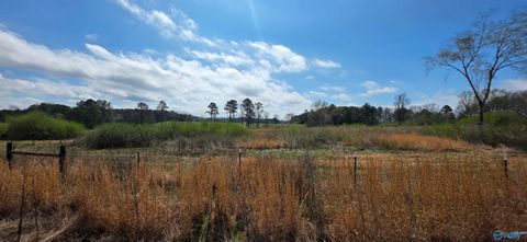 Vacant Land For Sale - 13.51 County Road 107<br/> Cherokee County, Gaylesville, AL 35973