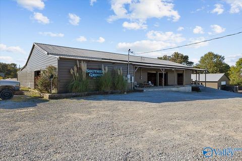 Vacant Land For Sale - 24 Reneau Road<br/> Oneonta, AL 35121