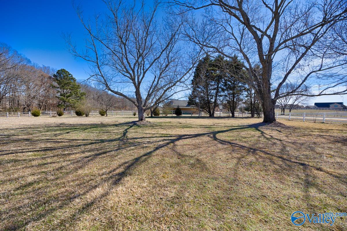 16904 Linton Road, Athens, Alabama image 41