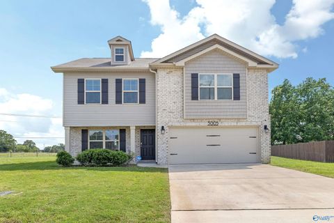 Homes For Sale - 3005 Fountainview Circle<br/> Hartselle, AL 35640