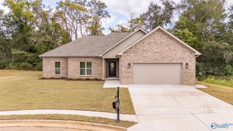 Homes For Sale - 509 Zoey Grace Drive<br/> Lauderdale County, Rogersville, AL 35652