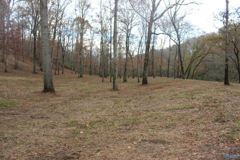 Vacant Land For Sale - 5.71 Hwy 75<br/> Geraldine, AL 35974