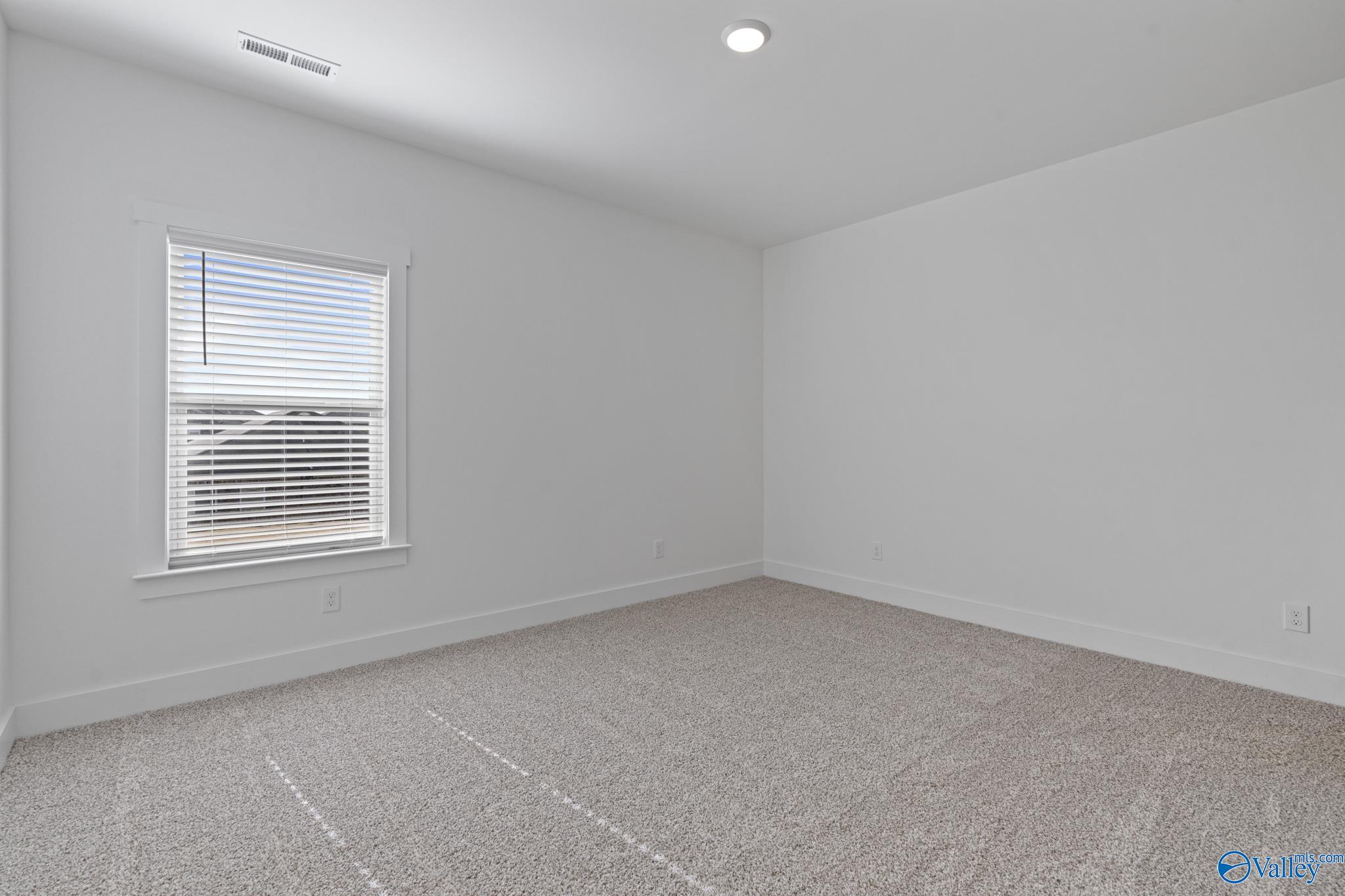 193 Chesire Cove Lane, New Market, Alabama image 18