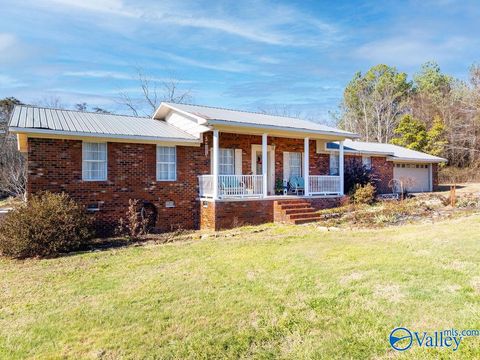 Photo of 4866 County Road 81, Flat Rock, AL 35966 (MLS # 21906203)