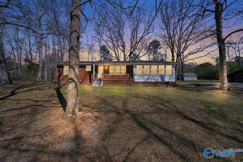 Photo of 3702 NE Desoto Parkway NE, Fort Payne, AL 35967 (MLS # 21913782)