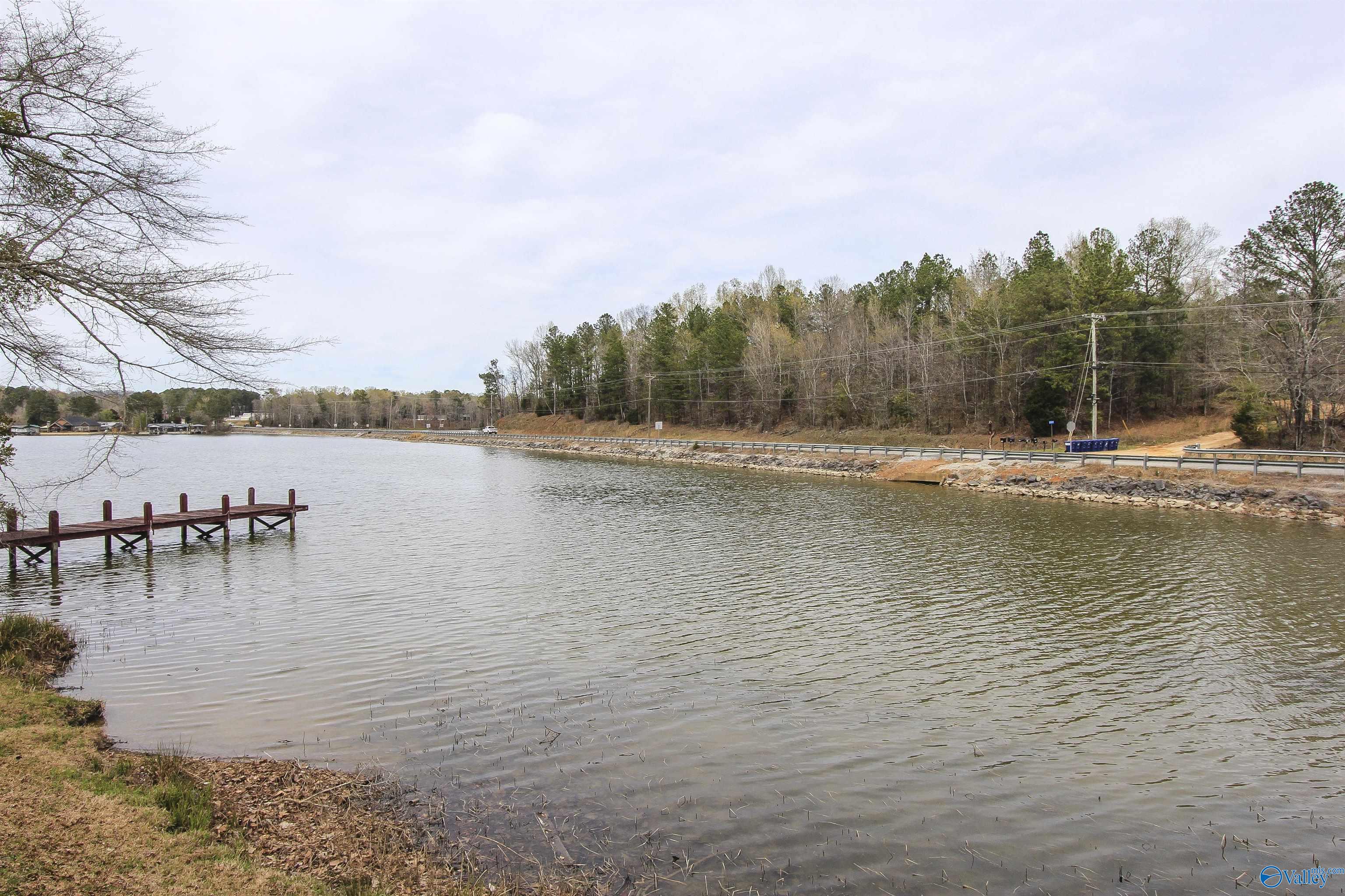 15 Mohawk Trail, Ohatchee, Alabama image 7