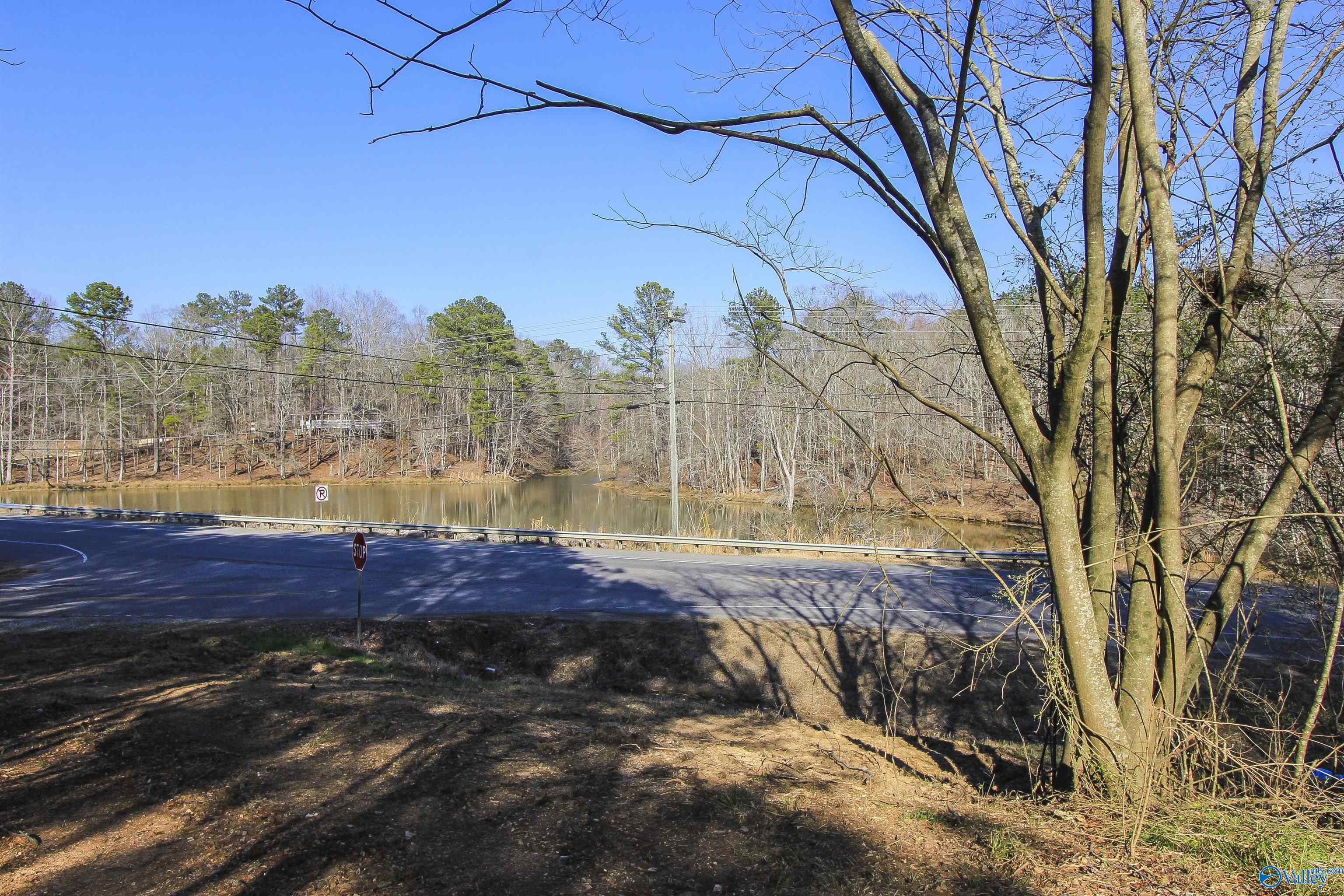 15 Mohawk Trail, Ohatchee, Alabama image 20