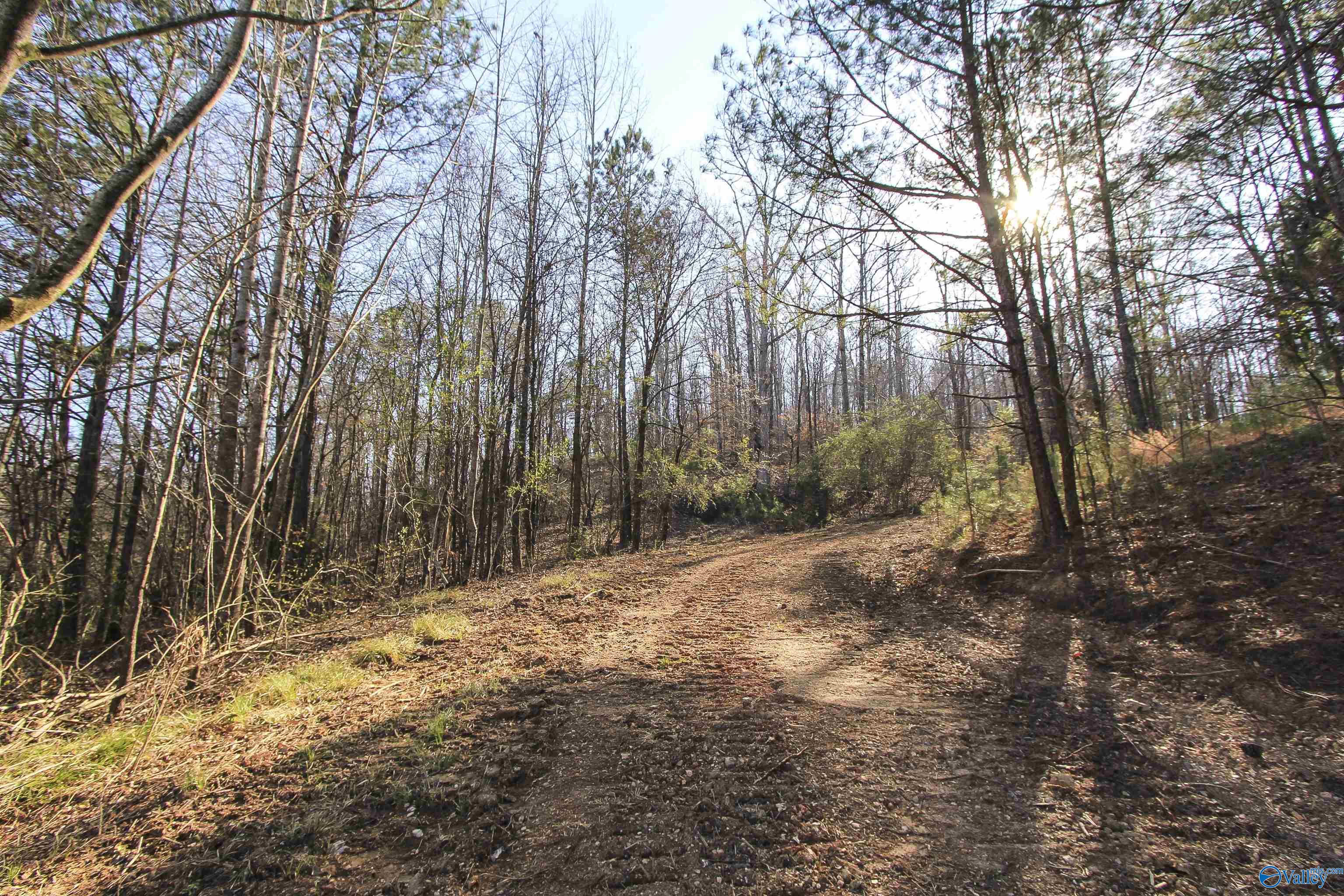 15 Mohawk Trail, Ohatchee, Alabama image 25