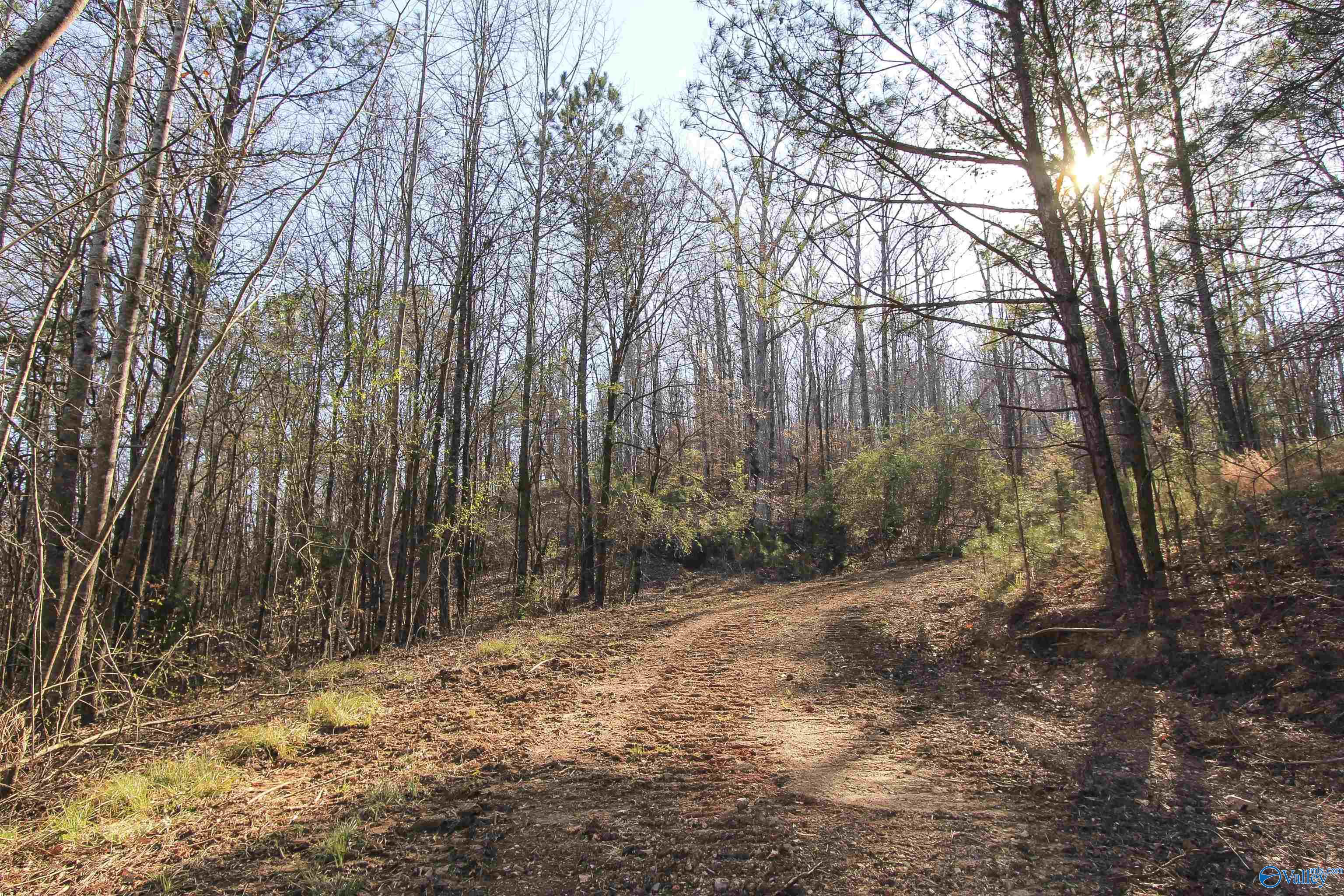 15 Mohawk Trail, Ohatchee, Alabama image 21