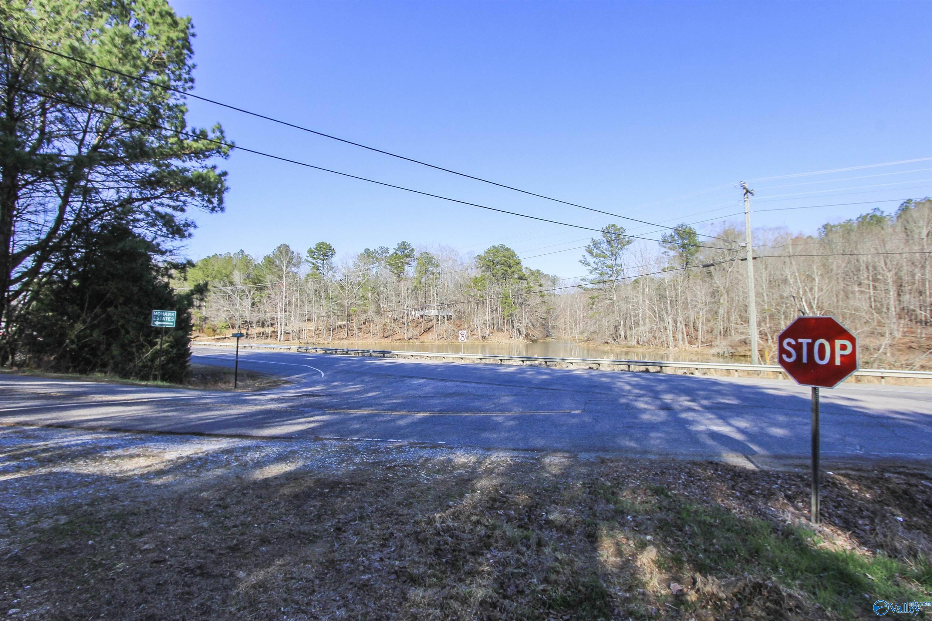 15 Mohawk Trail, Ohatchee, Alabama image 22