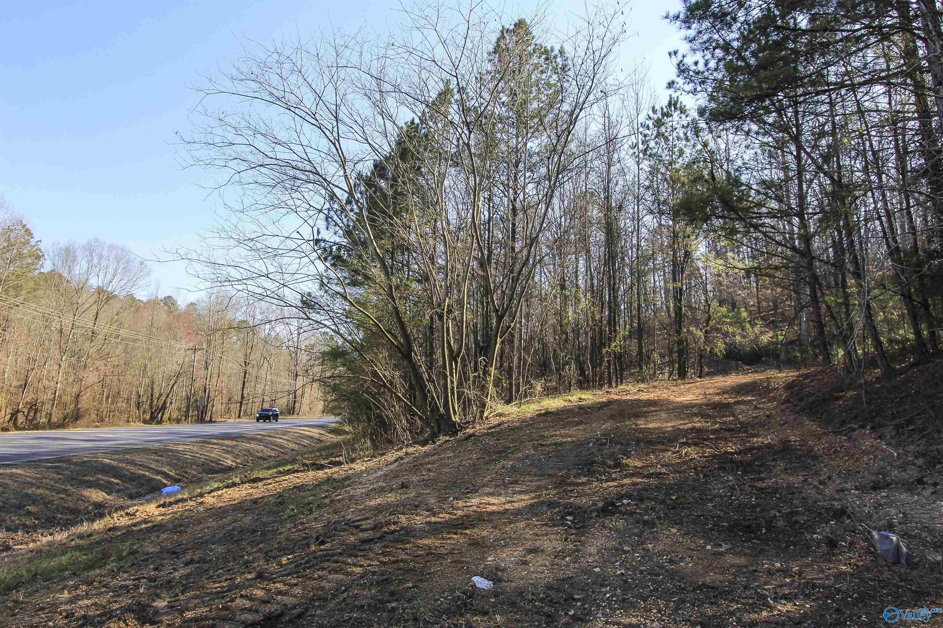 15 Mohawk Trail, Ohatchee, Alabama image 23