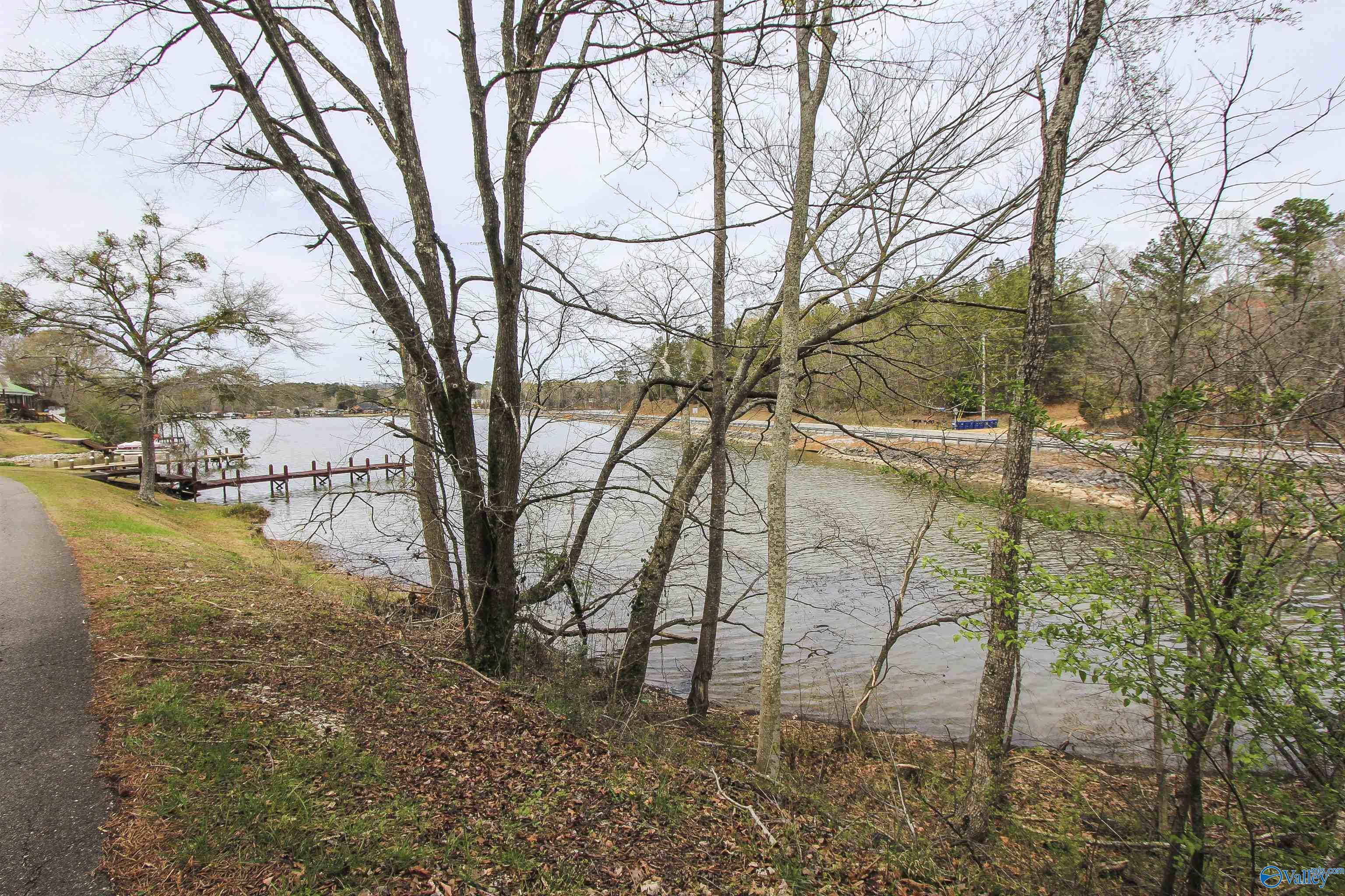 15 Mohawk Trail, Ohatchee, Alabama image 11