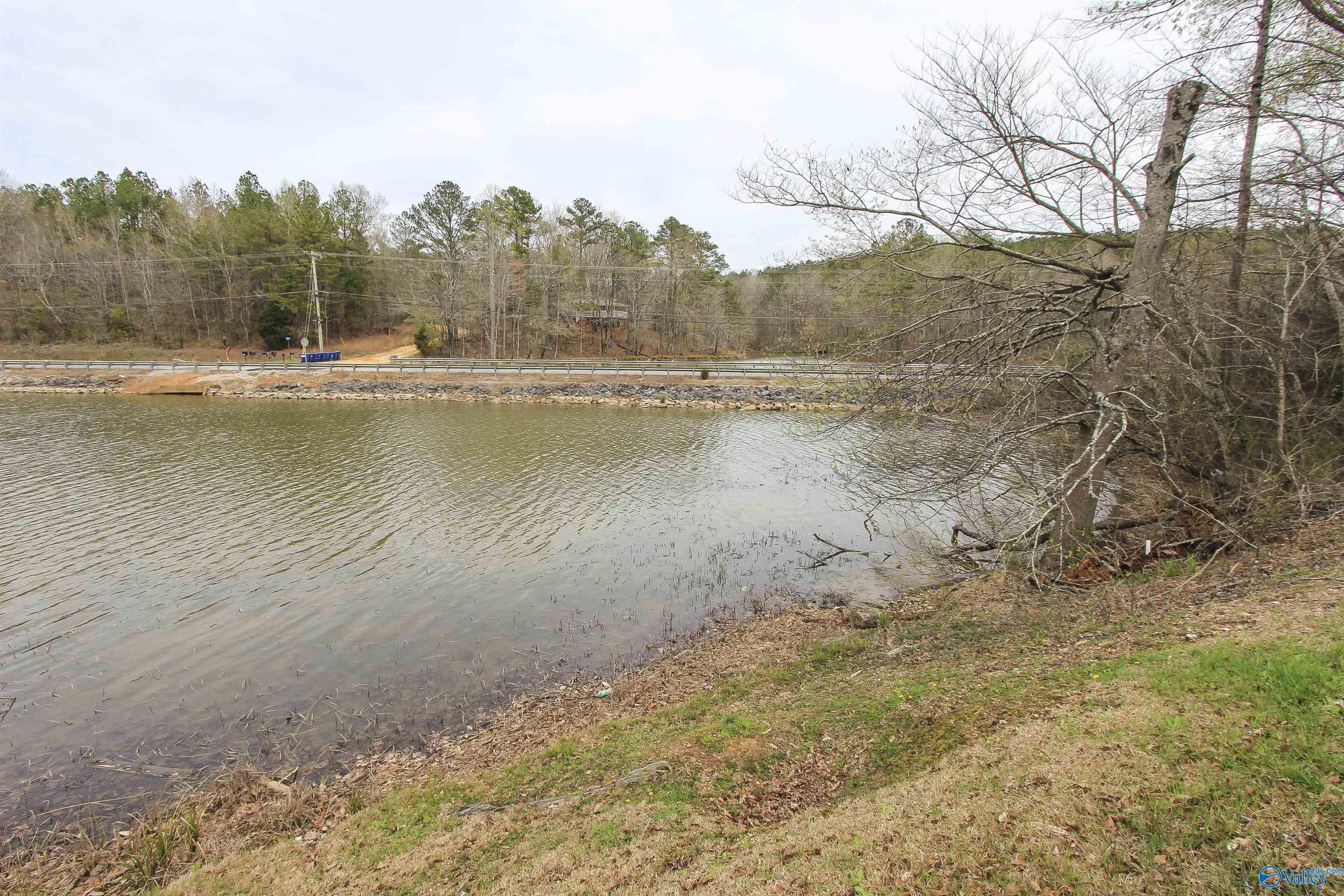 15 Mohawk Trail, Ohatchee, Alabama image 12