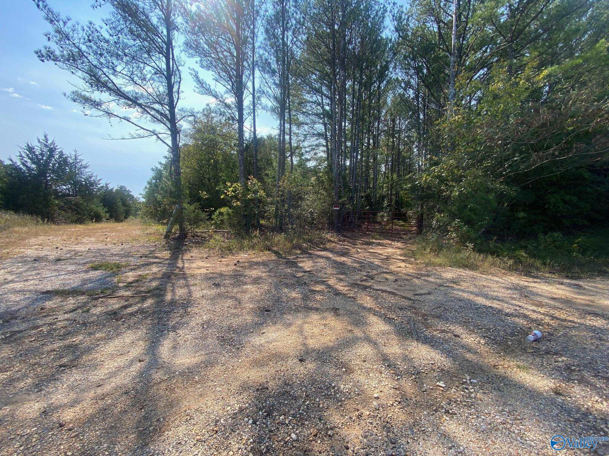 25 Acres Frankfort Road, Russellville, Alabama image 1