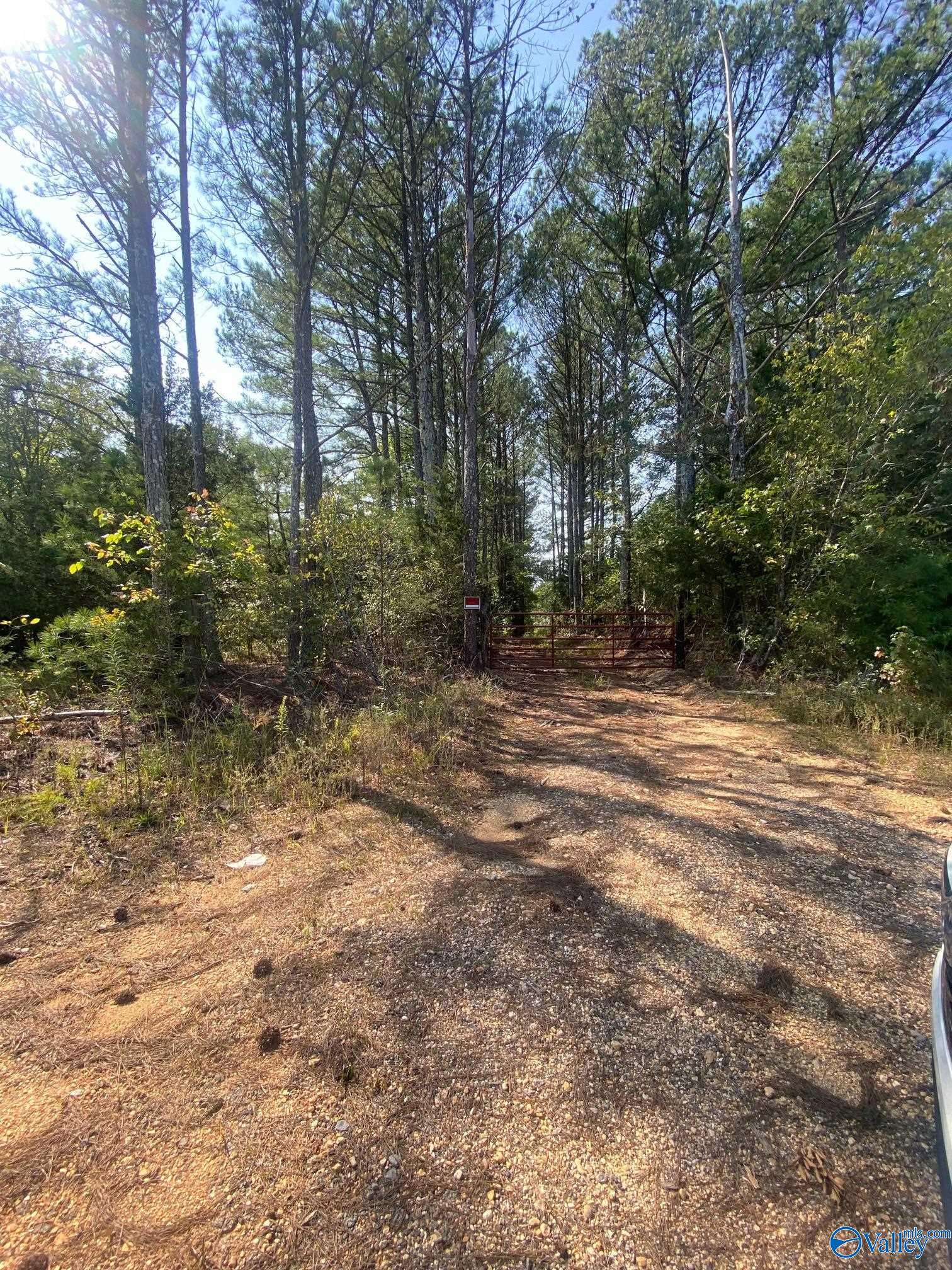 25 Acres Frankfort Road, Russellville, Alabama image 4