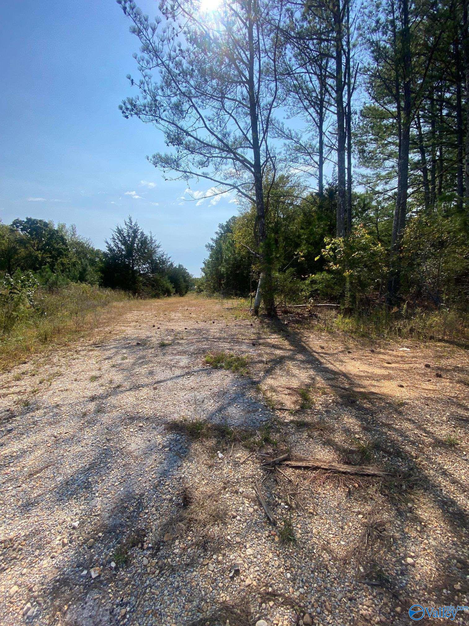 25 Acres Frankfort Road, Russellville, Alabama image 5