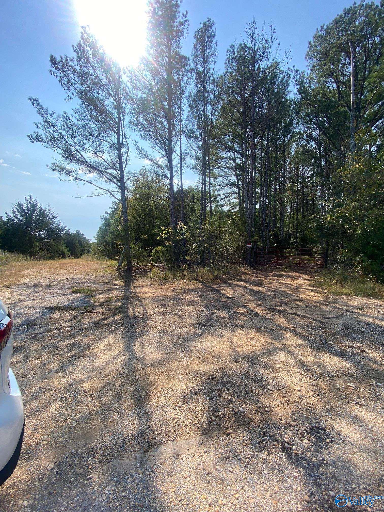 25 Acres Frankfort Road, Russellville, Alabama image 2