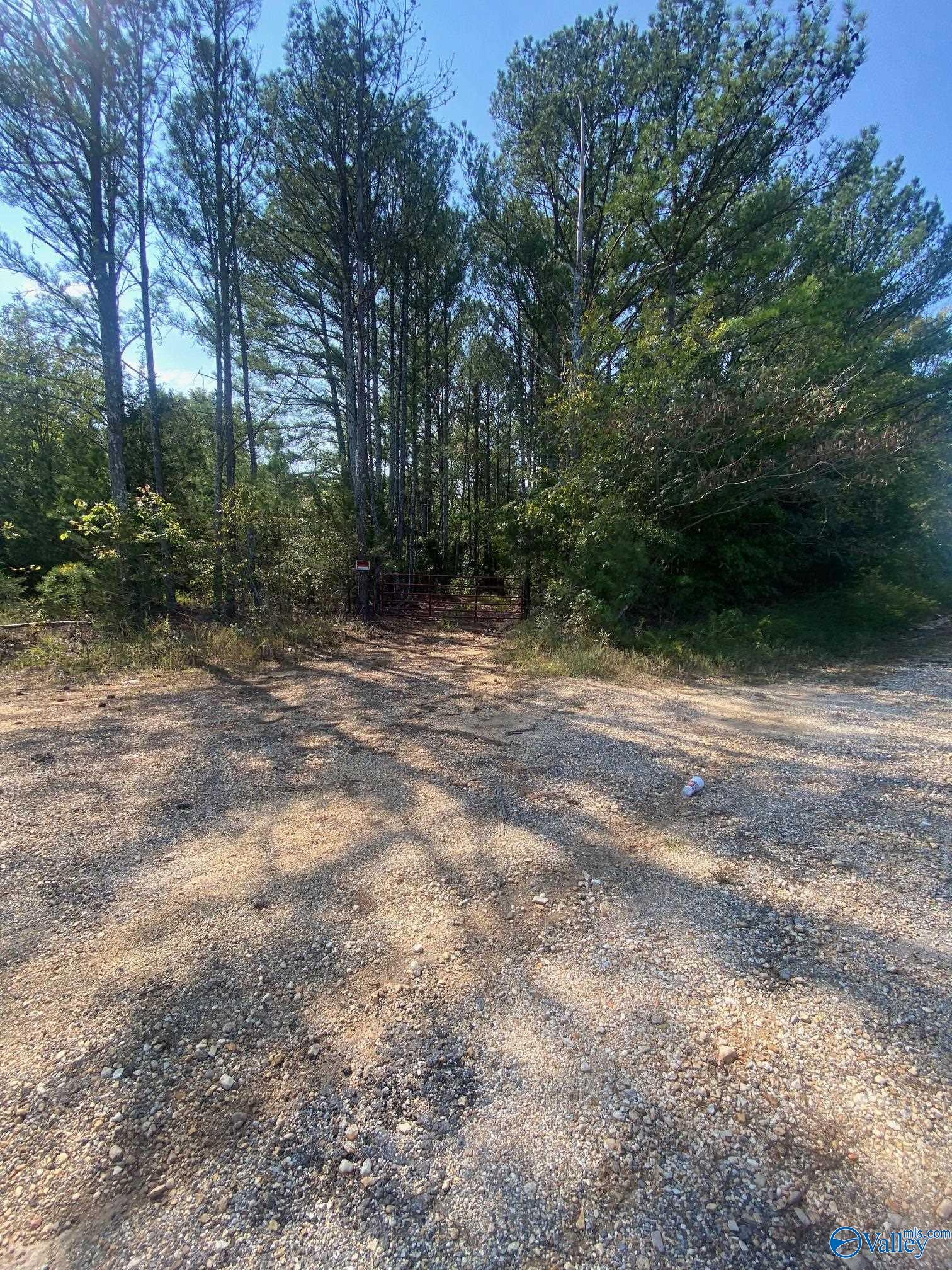 25 Acres Frankfort Road, Russellville, Alabama image 3