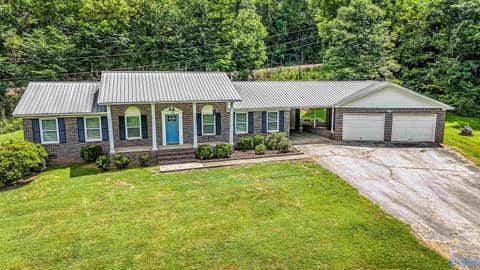 Homes For Sale - 44 County Road 142<br/> Jackson County, Princeton, AL 35766