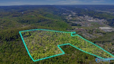 Vacant Land For Sale - 5411A Martin Avenue<br/> Fort Payne, AL 35967