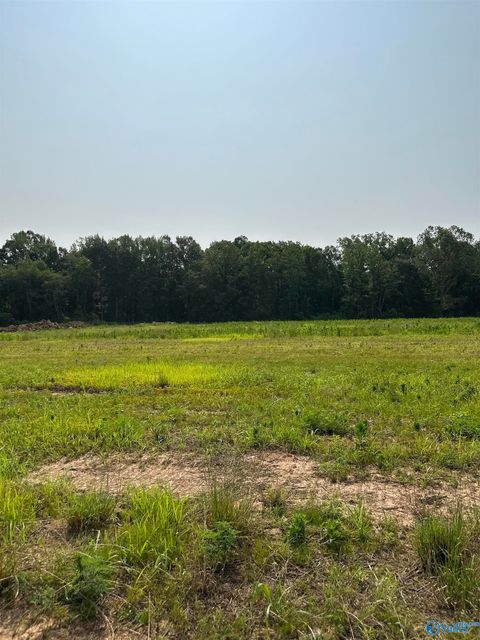 Vacant Land For Sale - TRACT 42 Hays Mill Road<br/> Limestone County, Elkmont, AL 35620