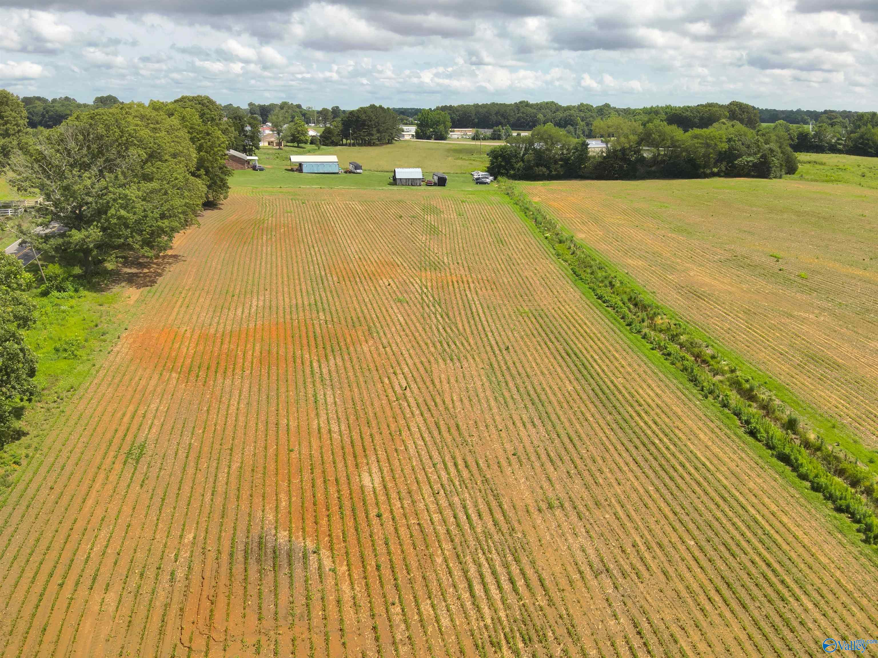 14.3 Acres Tillman Mill Road