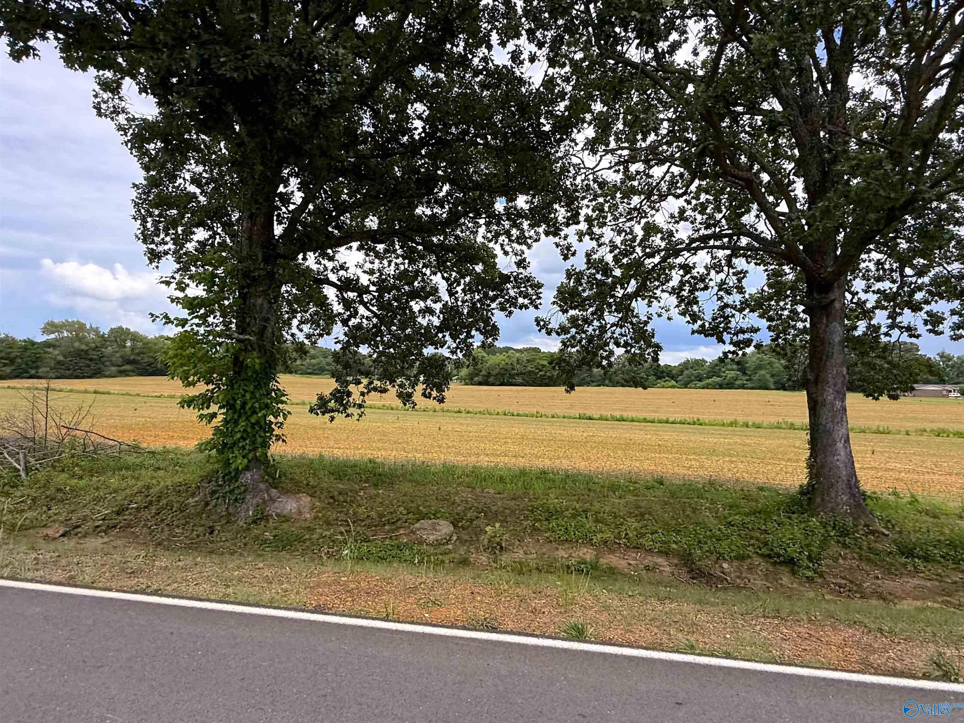 14.3 Acres Tillman Mill Road