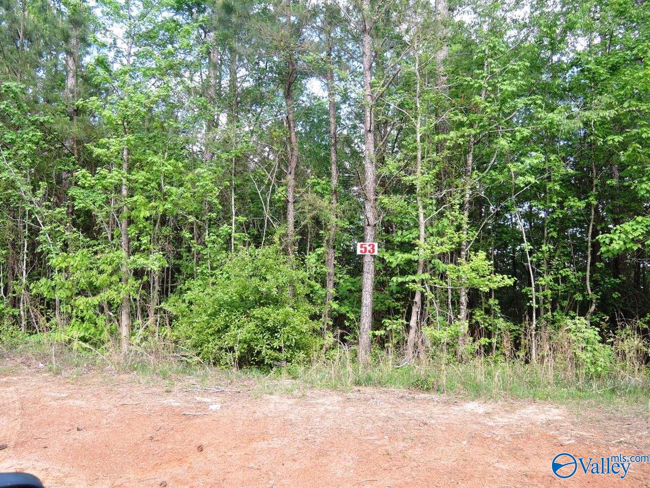 Lot 53 Oak Leaf Court, Jasper, Alabama image 1