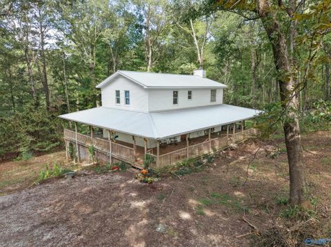 Photo of 192 Section Mountain Road, Somerville, AL 35670 (MLS # 21913692)