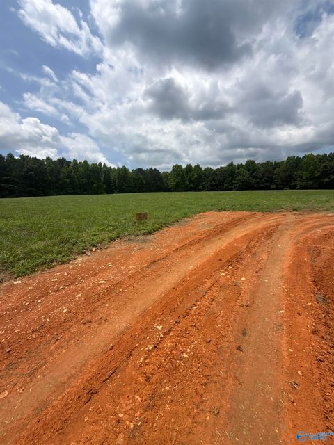 Vacant Land For Sale - 2.68 ACRES Old Guntersville-gadsden Road<br/> Etowah County, Boaz, AL 35956