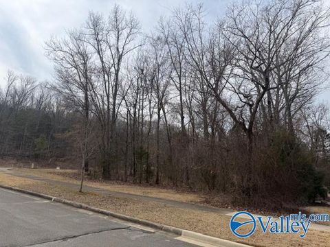 Vacant Land For Sale - 716 Marina Park Drive<br/> Huntsville, AL 35803