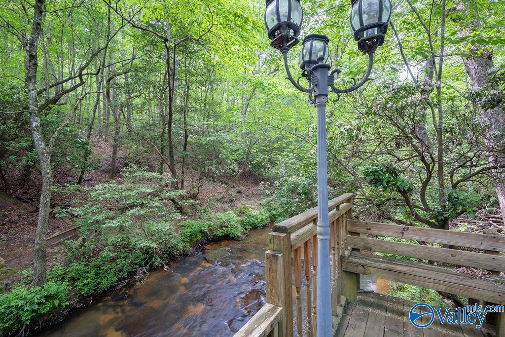 307 Bear Creek Road, Fort Payne, Alabama image 13