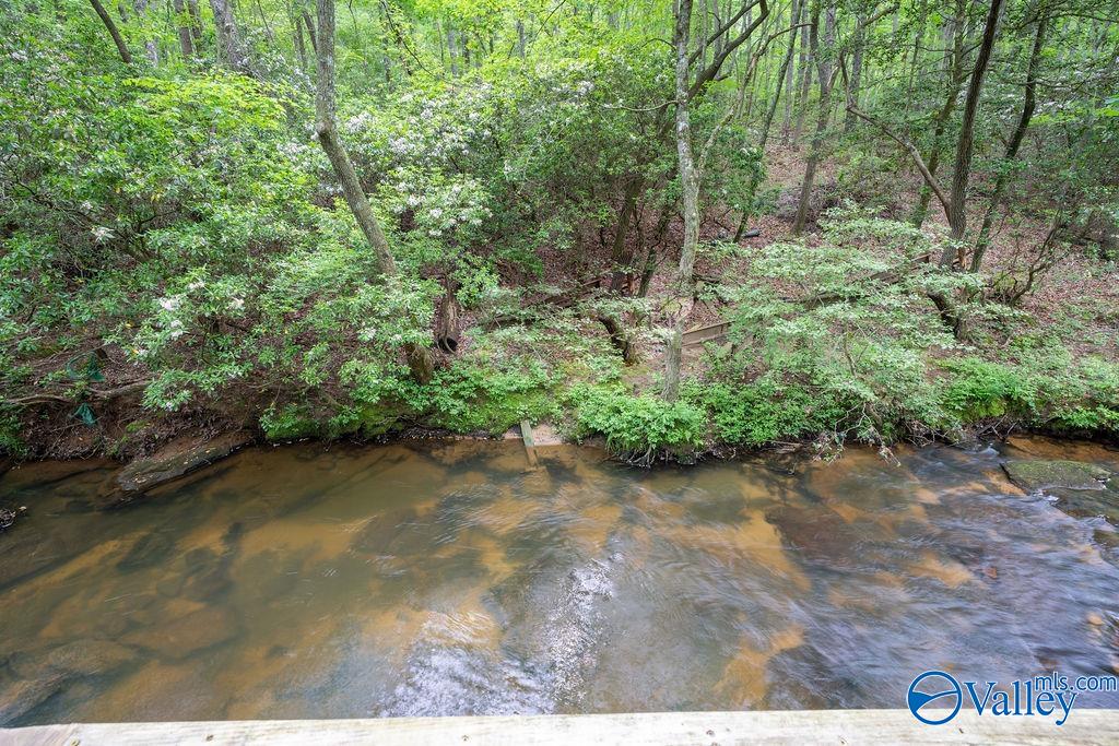 307 Bear Creek Road, Fort Payne, Alabama image 35