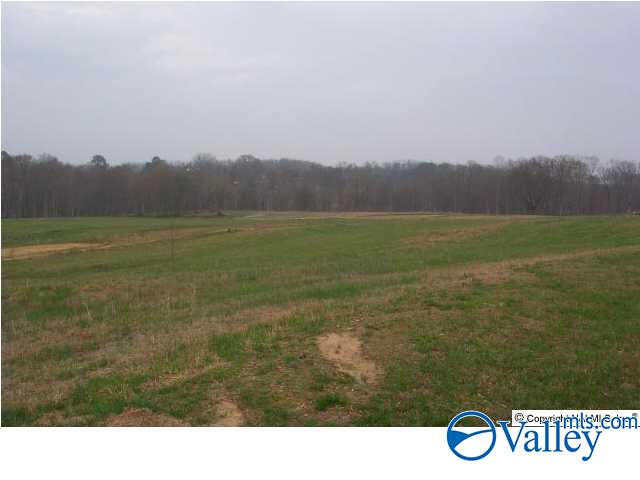 35 AC Ellis Road, Boaz, Alabama image 1