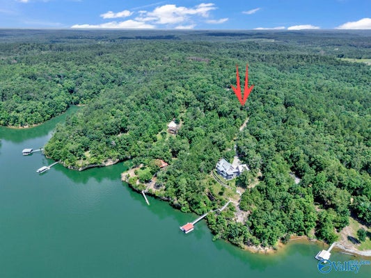 LOT 6 WHIPPOORWILL DRIVE, DOUBLE SPRINGS, AL 35553 - Image 4fca264672ad7fa54e57b97cce7a2ada/4038687952