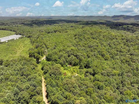 Vacant Land For Sale - 212 Brans Chapel Road<br/> Attalla, AL 35954