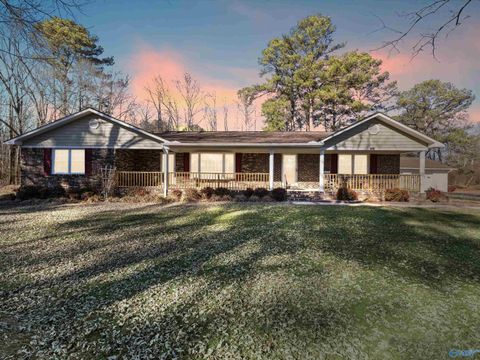 Photo of 1227 County Road 383, Boaz, AL 35957 (MLS # 21908573)