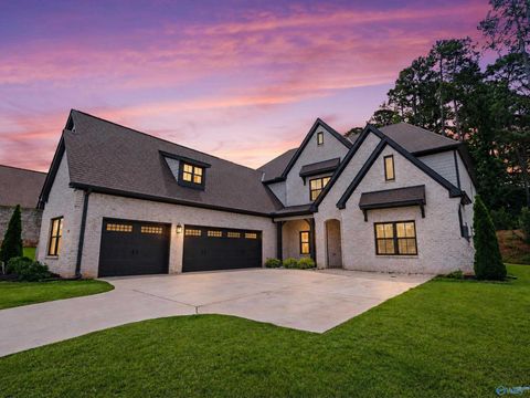 Homes For Sale - 104 Ferguson Drive<br/> Madison, AL 35748