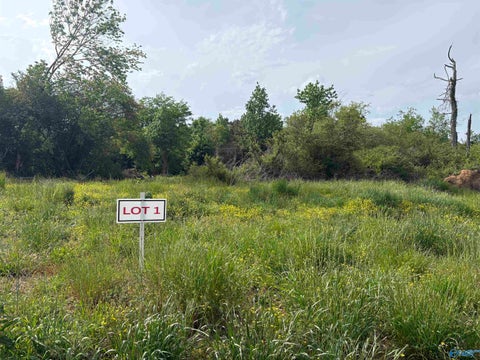 Vacant Land For Sale - LOTS 1 Hwy 40<br/> Henagar, AL 35978